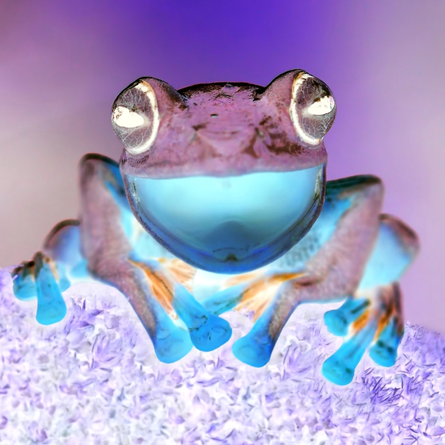 '";/><script>alert('from logo alt text')</script>